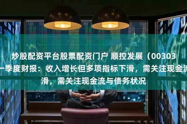 炒股配资平台股票配资门户 顺控发展（003039）2025年一季度财报：收入增长但多项指标下滑，需关注现金流与债务状况